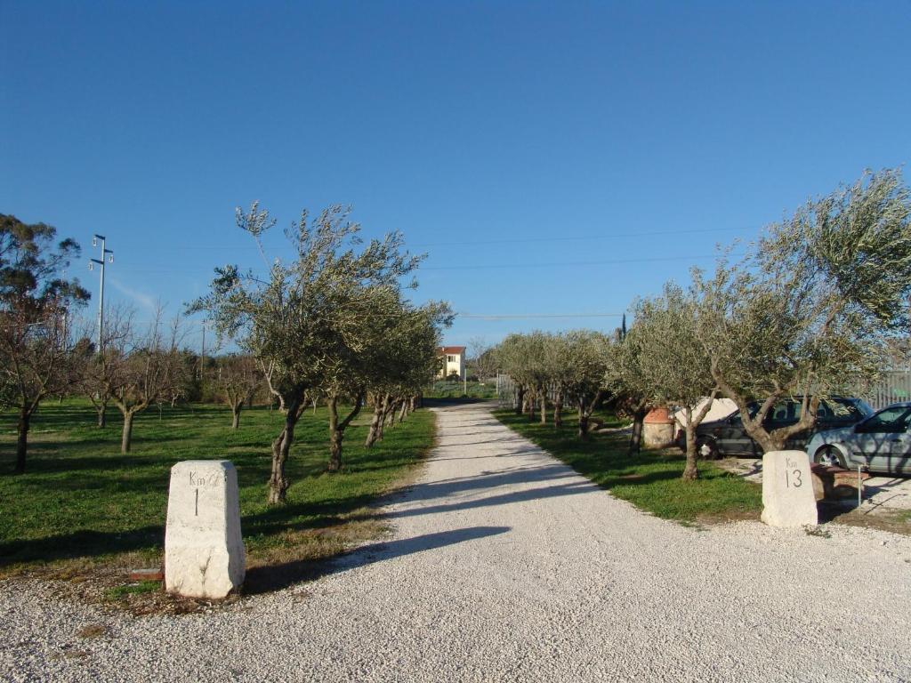 Podere 1248 Ladispoli Zewnętrze zdjęcie