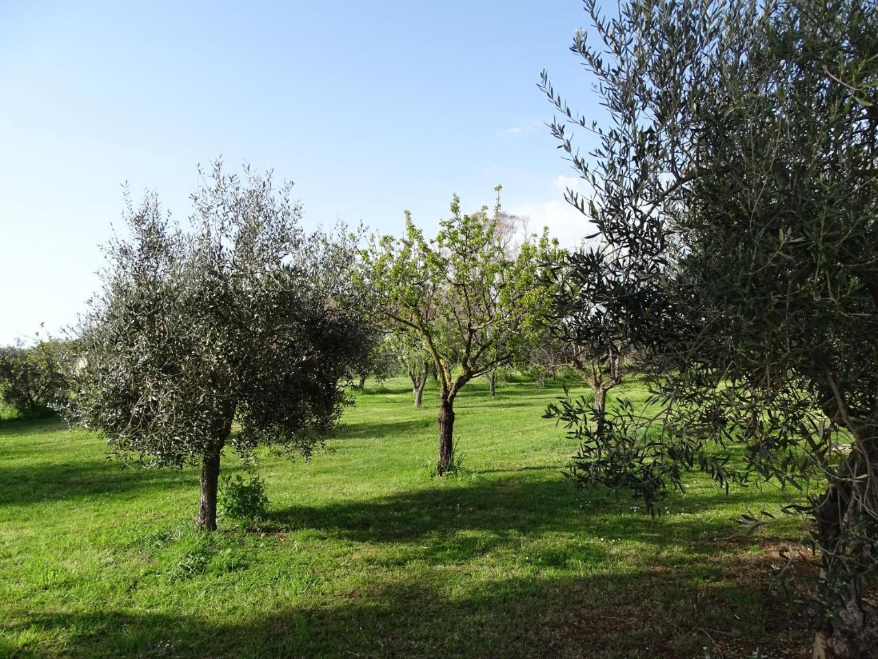 Podere 1248 Ladispoli Zewnętrze zdjęcie
